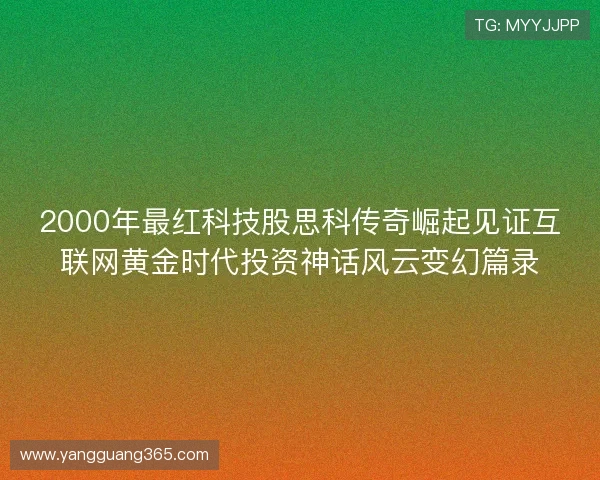 2000年最红科技股思科传奇崛起见证互联网黄金时代投资神话风云变幻篇录