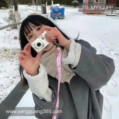 顾益葵